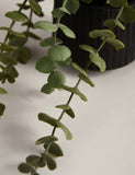 Artificial trailing baby plant in textured ceramic pot 36.8cm height - British product