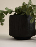 Artificial trailing baby plant in textured ceramic pot 36.8cm height - British product