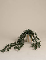 M&S Artificial Trailing Boxwood Plant in Stripe Ceramic Pot- Buy online at McGrocer