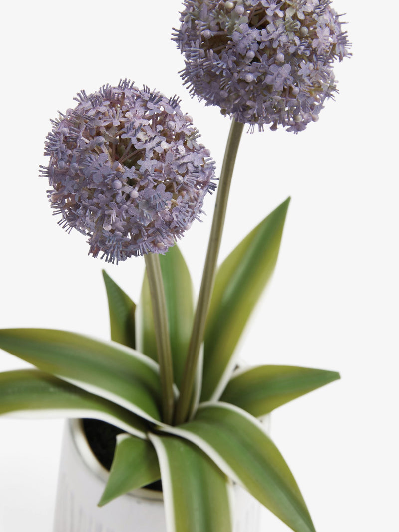 Purple artificial allium plant in ribbed ceramic pot, 29cm tall, imported from the UK