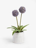 Purple artificial allium plant in ribbed ceramic pot, 29cm tall, imported from the UK