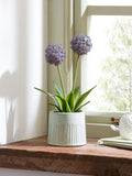 Purple artificial allium plant in ribbed ceramic pot, 29cm tall, imported from the UK