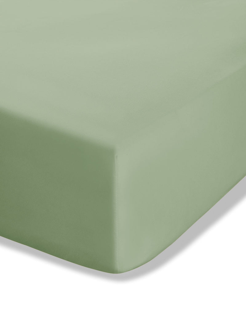 Catherine Lansfield sage green easy care percale fitted sheet - British product