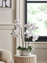 Next Silver/White Artificial Real Touch Orchid in Geo Pot Artificial Plant 56cm- Buy online at McGrocer