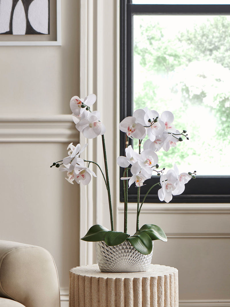 Silver white artificial orchid in geo pot 56cm height (British brand)
