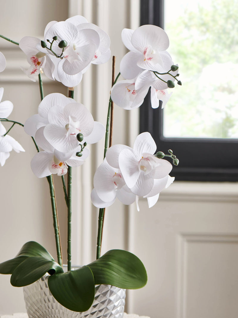 Silver white artificial orchid in geo pot 56cm height (British brand)