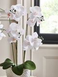 Silver white artificial orchid in geo pot 56cm height (British brand)