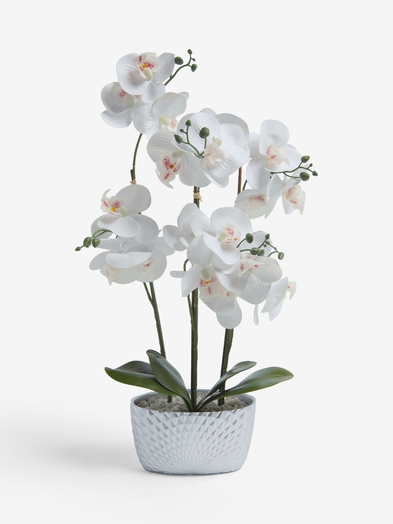 Silver white artificial orchid in geo pot 56cm height (British brand)