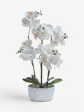 Silver white artificial orchid in geo pot 56cm height (British brand)