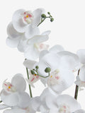 Silver white artificial orchid in geo pot 56cm height (British brand)