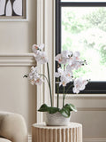 Silver white artificial orchid in geo pot 56cm height (British brand)
