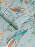 Graham & Brown Blue Clavering Birds wallpaper, imported from the UK