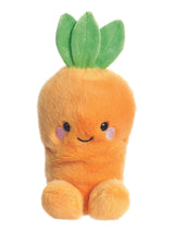 Next Aurora World Palm Pals Cheerful Carrot Soft Toy- Buy online at McGrocer