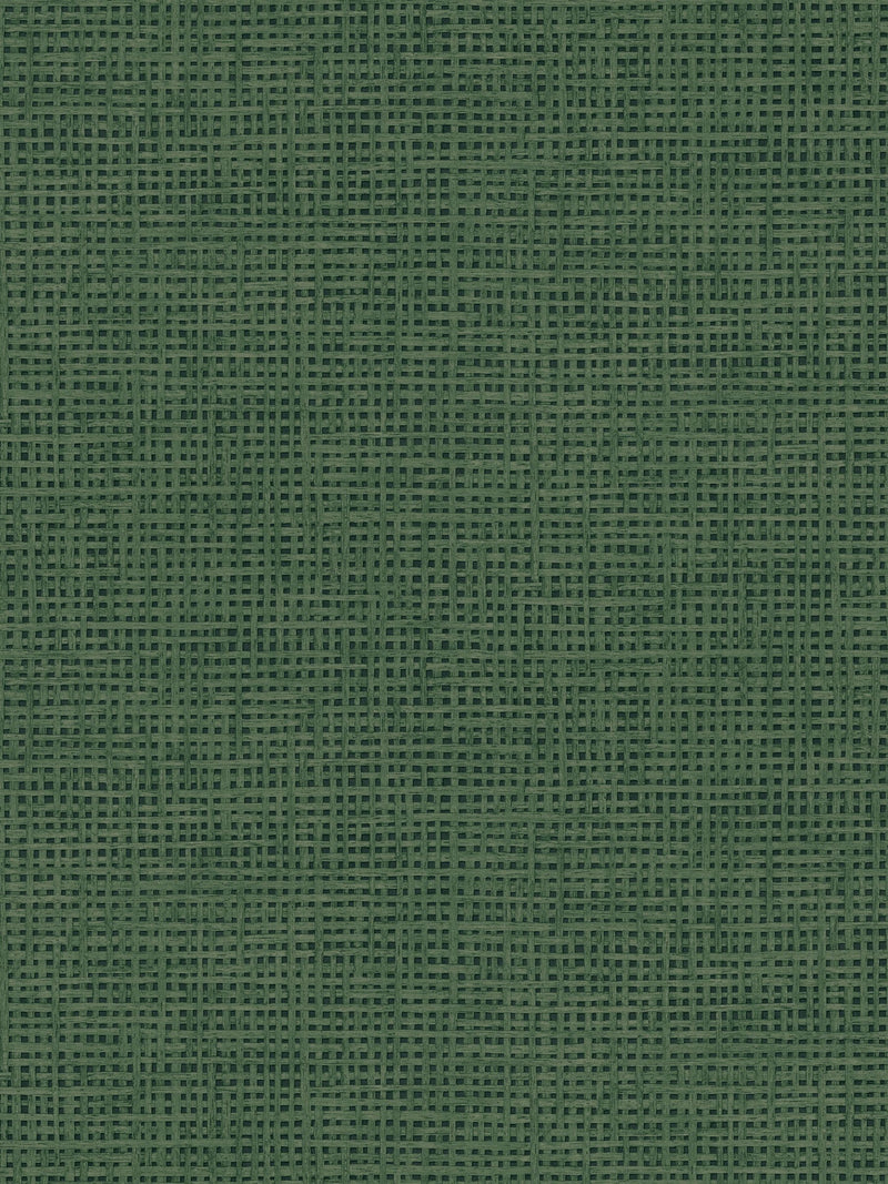Graham & Brown Palm Rustic Weft A4 sample - British product