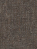 Graham & Brown Chocolate Armando A4 paint sample - British product