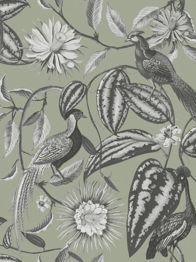 Graham & Brown green Amhersts Garden wallpaper sample, UK version
