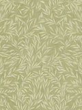 Graham & Brown Green Salix Leaves wallpaper sample - British product