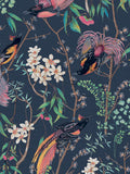 Graham & Brown Blue Clavering Birds Night wallpaper sample, UK version