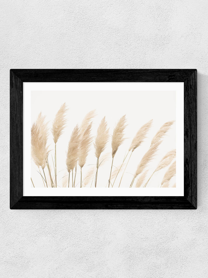 East End Prints Black Pampas framed art print - British product