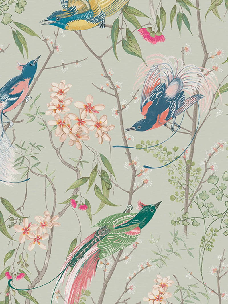 Graham & Brown bird wallpaper sample in green (British brand)