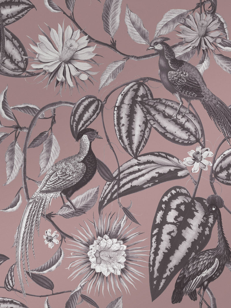 Graham & Brown Amhersts Garden wallpaper sample, imported from the UK