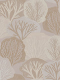 Graham & Brown Natural Twyla Warm wallpaper sample, imported from the UK