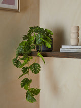 Next Green Artificial Trailing Monstera Plant Decorative Faux Plant 57cm- Buy online at McGrocer