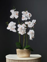Next Gold/White Artificial Real Touch Orchid in Geo Pot Indoor Planter 56cm Height- Buy online at McGrocer