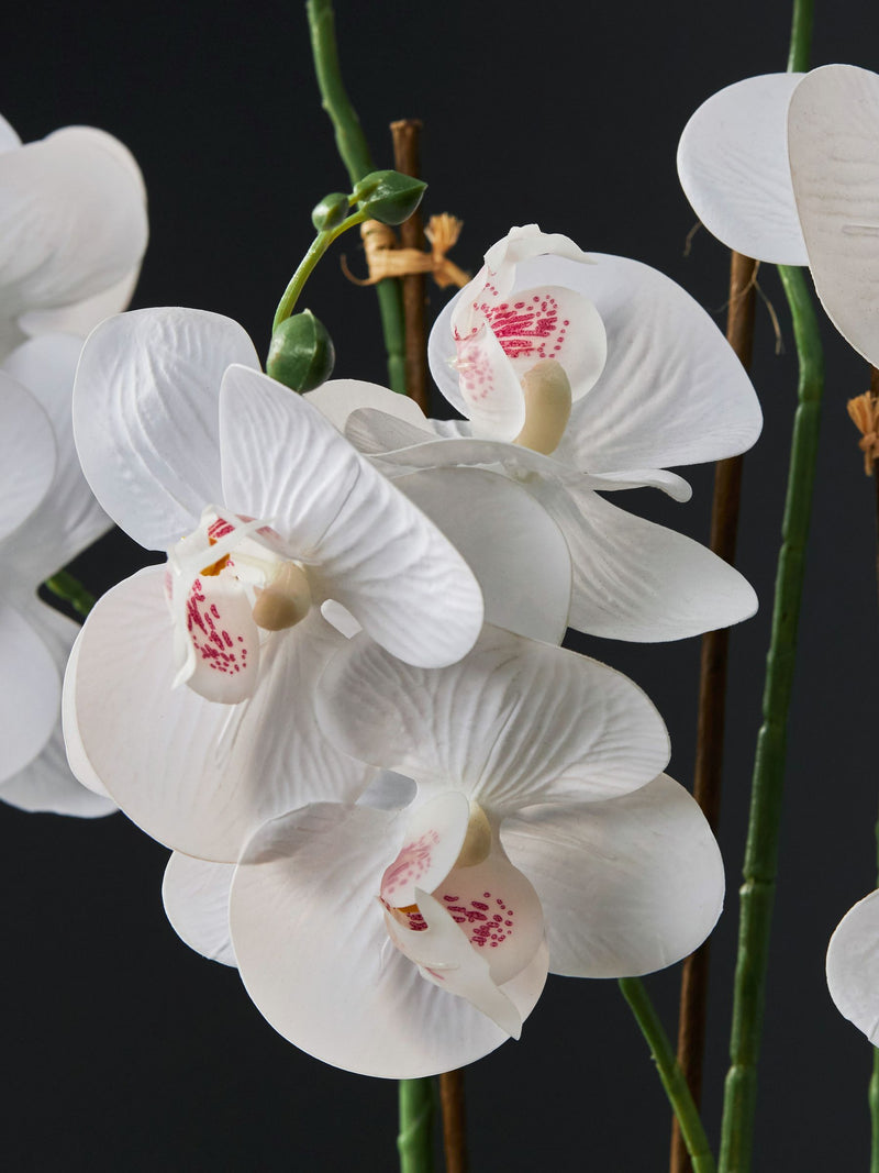 Gold/White Artificial Orchid in Geo Pot 56cm Height, UK version