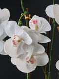 Gold/White Artificial Orchid in Geo Pot 56cm Height, UK version