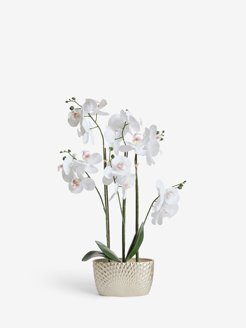 Gold/White Artificial Orchid in Geo Pot 56cm Height, UK version