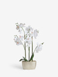 Gold/White Artificial Orchid in Geo Pot 56cm Height, UK version