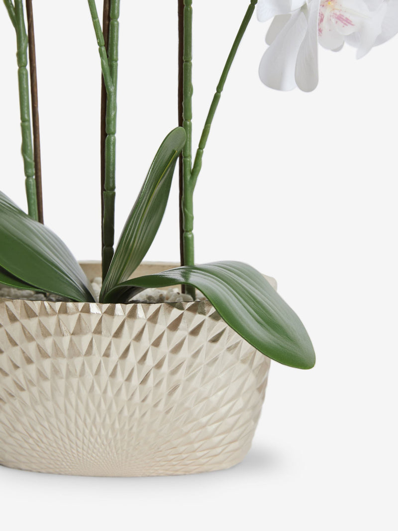 Gold/White Artificial Orchid in Geo Pot 56cm Height, UK version