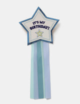 M&S M&S Birthday Star Badge Hair Accessory- Buy online at McGrocer