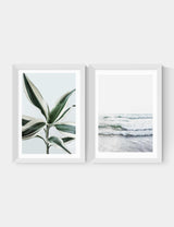 M&S East End Prints Botanical Beach Twin Set Framed Art- Buy online at McGrocer