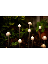 Next SolarCentre Elan Solar Mushroom Outdoor Lights Silver Set of 12- Buy online at McGrocer
