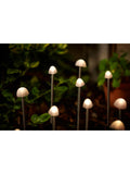 SolarCentre solar mushroom lights set of 12, UK version