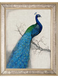 Brookpace Lascelles gold peacock framed print 56x46 cm - British product