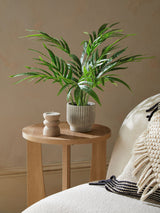 Next Green Artificial Mini Kentia Palm Plant Ribbed Concrete Pot Indoor Planter 60cm Height- Buy online at McGrocer