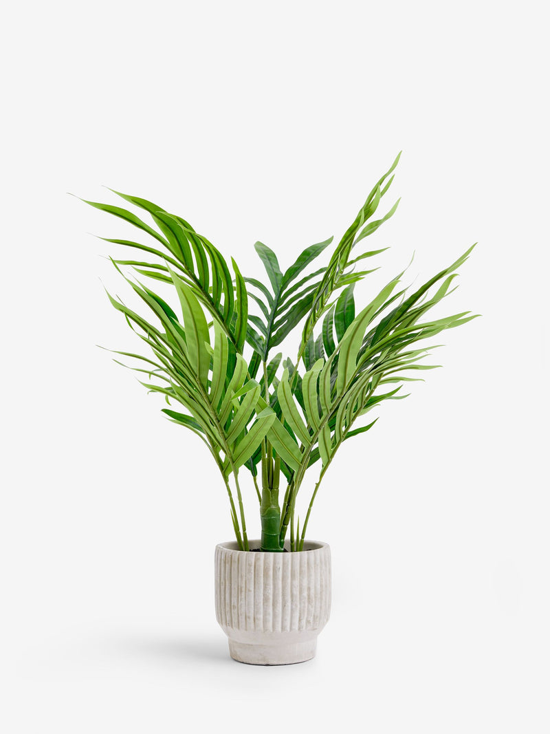 Artificial mini Kentia palm plant in ribbed concrete pot 60cm height, UK version