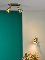 Next Dar Lighting Nathaniel Aged Brass 2-Light Ceiling Spotlight- Buy online at McGrocer