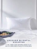 Snuggledown medium support pillow with cotton cover, imported from the UK
