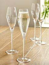 Next Clear Nova Champagne Flutes Set of 4- Buy online at McGrocer