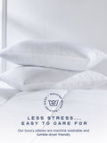 Snuggledown 2 Pack Medium Support White Pillows (British brand)