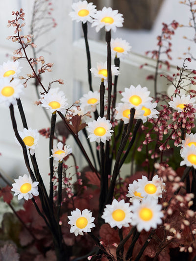 Next Lights4fun 30 LED Daisy Solar Garden Stake Lights- Buy online at McGrocer