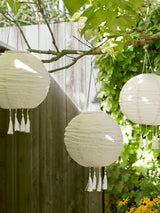 Next Lights4fun Cream Tassel Solar Hanging Outdoor Lanterns (Set of 3)- Buy online at McGrocer