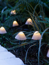 Next Lights4fun 12 Mini Mushroom Solar Garden Stake Lights- Buy online at McGrocer
