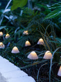 Lights4fun 12 mushroom solar stake lights 20cm, imported from the UK