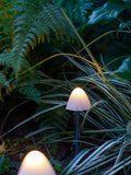 Lights4fun 12 mushroom solar stake lights 20cm, imported from the UK