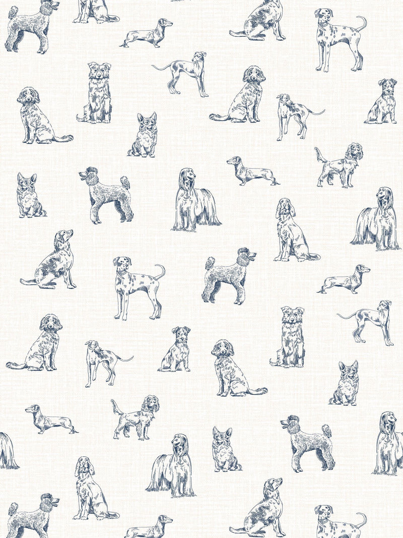 Joules wallpaper sample sketched dogs A4 - British product